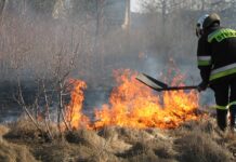 Sezon na wypalanie traw rozpoczęty