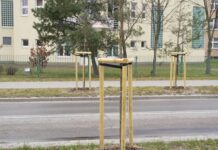 Zielona Stalowa Wola