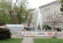 Pozytywnie zakręceni