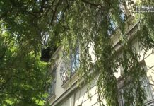 Ośrodek sztuki młodopolskiej