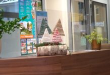 Zapisz się na świąteczne warsztaty międzypokoleniowe