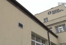 Statystyki policyjne