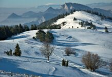 Planujesz zimowy wypoczynek? Uważaj na fałszywe oferty!