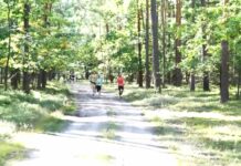 Zaproszenie na II Bieg Miejscami Pamięci Kochany