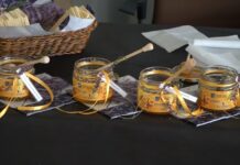 VII Forum Pszczelarskie za nami