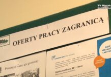 Szansa dla stażystów