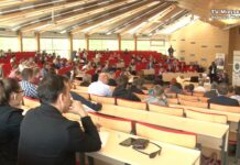 Stalowowolskie Gżegżółki