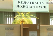 Oferta niżańskiego PUP