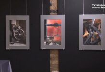 Martwa natura wg Animusa