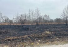 Przypominamy, wypalanie traw jest zabronione !