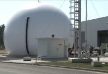 W obronie środowiska naturalnego