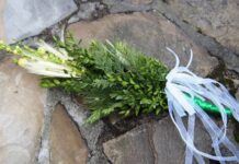 Zapisz się na warsztaty rodzinne