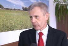 Rudnik pod sterami Grochowskiego