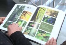 Gmina Bojanów oczami Państwa Celuchów