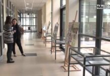 Wystawy, które trzeba obejrzeć