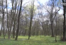 Na wycieczkę do parku