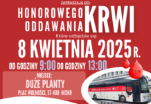 Oddaj krew w Nisku