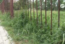 Zaniedbany teren – śpiący urzędnicy