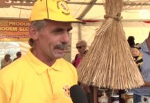 Leczniczy miód z Bojanowa