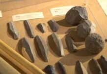 Wystawa „Megality w Polsce. Idea megalityczna w obrządku pogrzebowym kultury pucharów lejkowatych”