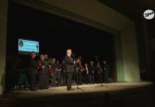 Nagrody „Gałązka Sosny” rozdane