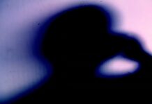 Stalowowolska policja apeluje : Uwaga na oszustów !