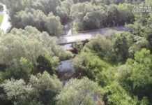 Wścieklizna w powiecie stalowowolskim