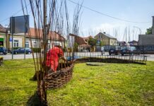 Zakończył się Plener Wikliniarski w Rudniku nad Sanem