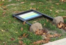 Park zdewastowany (video)