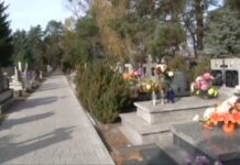 Multicmentarz (video)