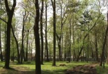 Samorządowe spięcia (video)