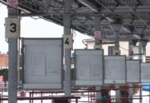 Nowa galeria (video)