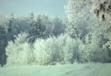 Zima w obiektywie (video)