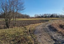 Dofinansowanie na budowę i modernizację dróg dojazdowych do gruntów rolnych