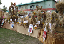 Powiatowy Konkurs Wieńca Dożynkowego podczas Dożynek Powiatu Niżańskiego 2025