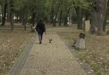 Bajkowy park. (video)