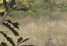 Nowe bloki w Stalowej Woli. (video)