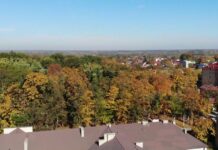 Park Miejski w Nisku zmieni swoje oblicze