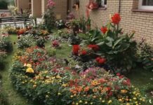 Zgłoś się do konkrsu „Pamiętajcie o ogrodach i balkonach”