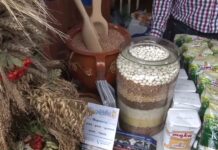 Zapowiedz gryczaki 2019