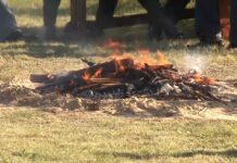 Pieczenie ziemniaka w Przyszowie