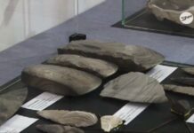 Krzemień pasiasty – perła Sandomierza