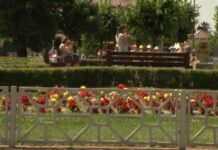 Ekologiczny Janów Lubelski. (video)