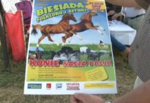 Klasycznie czy jak na „Dzikim Zachodzie”? (video)