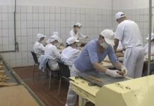 Najlepsze ze Stalowej Woli. (video)