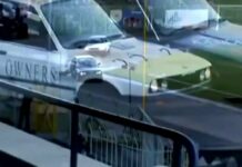 Kaskaderskie show. (video)