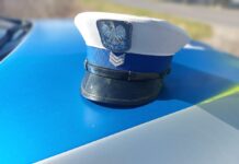 Działania „Pasy” w powiecie niżańskim