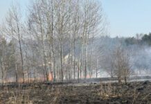 Pożar na granicy powiatów