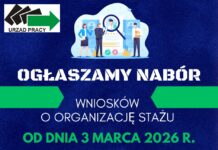 PUP w Nisku ogłasza nabór wniosków o organizację stażu
